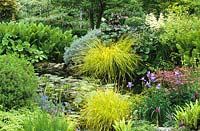 L'étang supérieur à Glen Chantry. La plantation comprend Carex elata 'Aurea', Iris sibirica 'Placid Waters', Ligularia 'Desdemona'