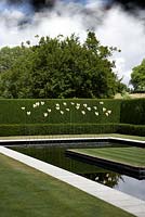 Le nouveau jardin d'eau de Kiftsgate Court Gardens, avec le sculpteur, le philodendron en bronze doré de Simon Allison laisse sur des tiges en acier inoxydable. Piscine entourée de pelouse tondue et de haies d'ifs coupées.