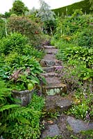 Les étapes menant vers le bas de la rocaille sont encadrées avec Hostas, Heucheras, Lamiums et fougères - Mindrum, nr Cornhill on Tweeds, Northumberland, UK
