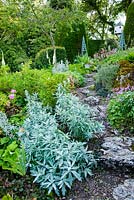 Jardin de rocaille datant des années 1930 planté d'Artemisia, géraniums rustiques et Stachys - Mindrum, nr Cornhill on Tweeds, Northumberland, UK