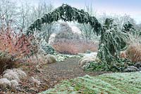 Cedrus atlantica 'Glauca Pendula' arc à l'entrée du jardin d'hiver, Bressingham Gardens, Norfolk, UK