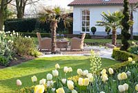 Coin salon avec plantation de Tulipa 'Maja', Tulipa 'Verona', Tulipa 'Francoise', Tulipa 'Ivory Floradale' et Fritillaria persica 'Ivory Bells '