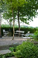 Un coin salon surélevé sur gravier avec salon de jardin peint en blanc et à l'abri d'une haie et d'arbres. Les autres plantations comprennent Asperula taurina, Hosta et Quercus - Hollberg Gardens