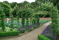 Apple arches underplanted avec boîte et lavande et un épouvantail parmi les choux et les choux-fleurs dans le jardin potager clos, Tatton Park