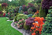 Parterres de fleurs colorées sur le thème oriental de conifères, azalées et Acers - Four Seasons Garden, Walsall
