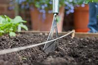 Étape par étape - Planter des légumes verts de printemps à partir de graines dans une bordure de légumes surélevée