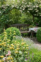 Coin salon ombragé avec banc et table en bois à côté de 'Lykkefund' Rambling rose, Buxus, Lavandula angustifolia, Phlomis russeliana