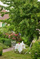 Mobilier de jardin de style bistrot devant une maison avec volets et vivaces. Rosa 'Leonardo da Vinci', Buxus, Delphinium Elatum-Grp., Dianthus barbatus, Gillenia trifoliata et Prunus avium