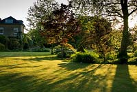 Le soleil du petit matin projette de longues ombres sur l'herbe à côté d'un étang naturaliste. Ancien presbytère, Pulham, Dorset, UK