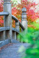 Pont en bois dans le jardin japonais, Wroclaw
