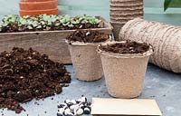 Pots de tourbe, tourbe, sachet de graines, haricots Yin Yang et un plateau en bois avec des plants de Brassica