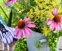 Sur une table en bois un vase avec coneflower, Ladys Mantle et raisins. Également sur la table, des gants de jardinage et une fourchette à main. En arrière-plan une chaise de jardin turquoise colorée.