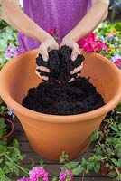 Étape par étape - planter un pot à thème rose et violet