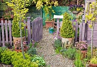 Clôture et portail traités avec du bois de lavande, arbres et arbustes matures au feuillage vibrant, panier suspendu de couleur gratuite - High Meadow Garden à la fin du printemps, Staffordshire
