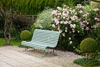Dans un décor de roses, un banc de jardin en bois nostalgique encadré de sphères de boîte - Rosa 'Fritz Nobis', Rosa 'Nuits de Young', Buxus, Crambe cordifolia et Vinca - Allemagne