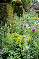 Parterre de fleurs topiaire et d'été