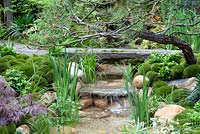 Monticules de mousse et cascade de galets décoratifs dans un jardin japonais traditionnel dans le quartier de Satoyama, Satoyama Life - Artisan Garden