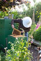 La propriétaire du jardin Margaret avec ses abeilles