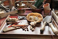 Table de rempotage avec plateau d'ail et outils de jardinage, mars