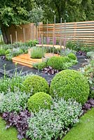 Jardin moderne avec Buxus sempervirens, Nepeta et Heuchera