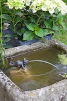 Mini étang avec gargouille de grenouille