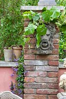Vigne grimpant sur une tête de lion en pierre sur un pilier en brique à côté d'un mur peint avec deux pots en terre cuite contenant du Sempervivum, d'autres plantes sont Campanula poscharskyana, Sempervivum et Vitis