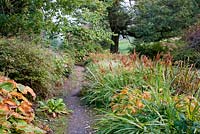 Chemin à travers les plantes d'automne et le lac. Jardins de Minterne, Minterne Magna, Dorset