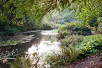 Siège en bois décoratif le long du lac avec des fougères et des hortensias en automne. Jardins de Minterne, Minterne Magna, Dorset