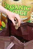 Étape par étape de la plantation de pommes de terre de semence 'Charlotte' dans un sac de culture - Placez 3 ou 4 pommes de terre de semence hachées sur le compost
