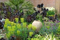 Parterre d'Euphorbia characias, Aeonium 'Schwarzkopf' et Erysimum 'Bowles Mauve' et urne en terre cuite vide - East Ruston Old Vicarage