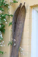 Un jasmin traînant et une vieille paire de skis en bois, laissés dans une maison de vacances familiale sur l'île de Wight, appuyés contre le mur de la véranda - Sallowfield Cottage B