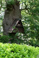 Boîte de chouette effraie en bois sur un arbre mature à la limite du jardin - Sallowfield Cottage B
