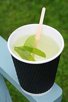 Thé à la verveine citron fraîchement préparé dans une tasse en papier - le hangar à thé, Cavick House Farm, Norfolk