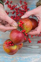 Étape par étape - Création d'une couronne d'hiver à l'aide de pommes et de baies de houx - Malus et Ilex