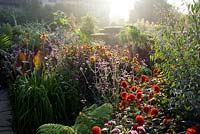 Soleil brûlant à travers la brume matinale dans le jardin exotique de Great Dixter. Dahlias, Cannas, Verbena bonariensis, Eucalypus gunnii. Dahlia 'Grenadier' au premier plan