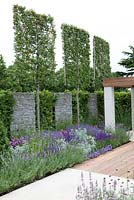 Parterre bleu et violet avec Nepeta 'Walkers Low', Salvia 'Superba Rose', Salvia nemorosa 'Caradonna' et Allium senescens dans The Italian Job garden, Hampton Court Palace Flower Show 2012.