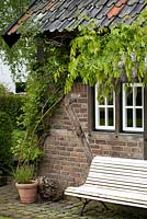 Banc en bois peint en blanc sur un petit patio par la maison d'été avec Wisteria grandissant un mur de briques, De Carishof