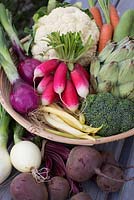 Bol avec légumes bio, chou-fleur, oignon rouge, carottes, artichaut, betterave, brocoli, fèves et haricots verts