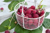 Framboises dans une petite corbeille en fil