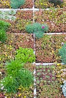 Jardin sur le toit contemporain planté de plantes succulentes, Armeria et Dianthus dans le 'The Bombe' - RHS Tatton Flower Show 2012