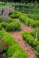 Voie de gravillons bordée de haies basses Buxus, Salvia microphylla, Digitalis purpurea et Pommiers Jardins du Château de la Roche Jagu, France