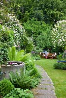 Jardin étroit avec des cascades fleuries de rosiers grimpants à côté d'un chemin de jardin, un bassin d'eau et des meubles de jardin sur une pelouse. Rosa 'Constance Spry', 'Lykkefund' et 'Venusta Pendula'