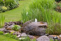 Pierres de puits et rochers de granit comme caractéristique de l'eau avec des plantes de tourbières indigènes et Iris pseudacorus