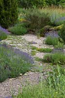 Jardin de gravier avec chemin pavé de granit et plantation d'inspiration méditerranéenne avec Lavandula et Thymus
