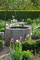 Un bassin d'eau rond en granit avec tuyau en métal dans un jardin de printemps conçu formellement. Haie Taxus, Buxus et Tulipa