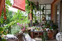 Table de jardin en métal dressée pour le dîner, plantes en pots - Lathyrus latifolius, Lavandula, Salvia officinalis, Thymus