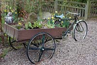 Trike avec remorque comme pot pour plantes printanières et rocaille - Millennium Garden, Lichfield, printemps
