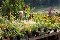 Carol Klein organisant des plantes dans la pépinière de Glebe Cottage