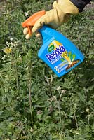 Application du glyphosate de Resolva et du désherbant Diquat sur les mauvaises herbes vivaces mélangées, formulation prête à l'emploi, RFU, pack de gâchette