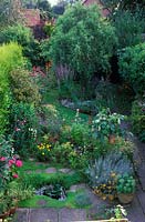 Petit jardin domestique avec plantation mixte, petit étang, pavés, chemin d'herbe, saule et hautes haies environnantes